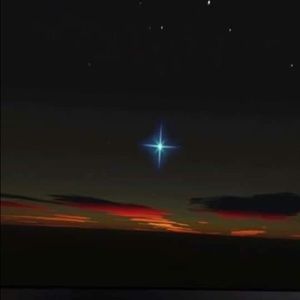 Meet your Posher, Evelyn